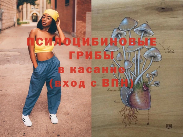 бошки Алзамай