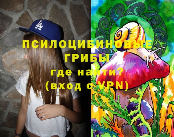 бошки Алзамай