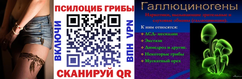 кракен   Ардатов  Галлюциногенные грибы Magic Shrooms 